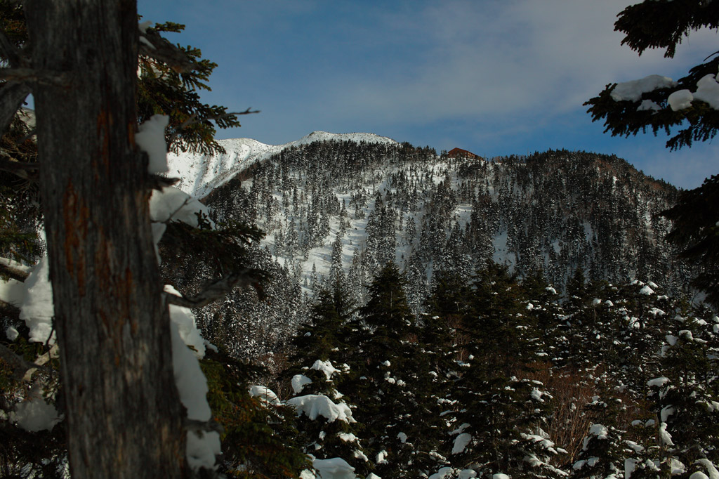 a0148606_12375680.jpg