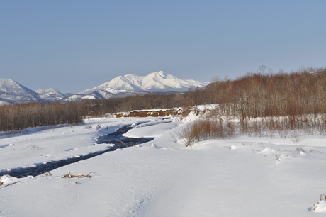 c0242406_8141232.jpg