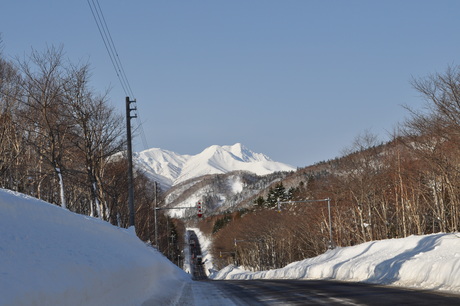 c0242406_8143967.jpg