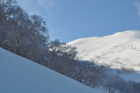 c0242406_8182926.jpg