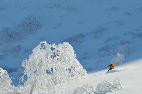 c0242406_8264556.jpg
