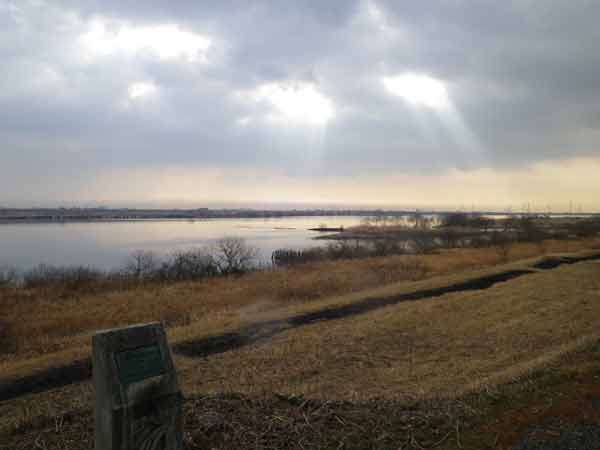 b0000209_19494097.jpg