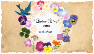 web shop 本日22:00にオープンします*_a0169912_16192499.png
