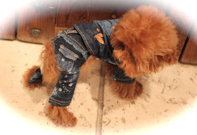 as know as de wan♡新作_d0060413_19111645.jpg