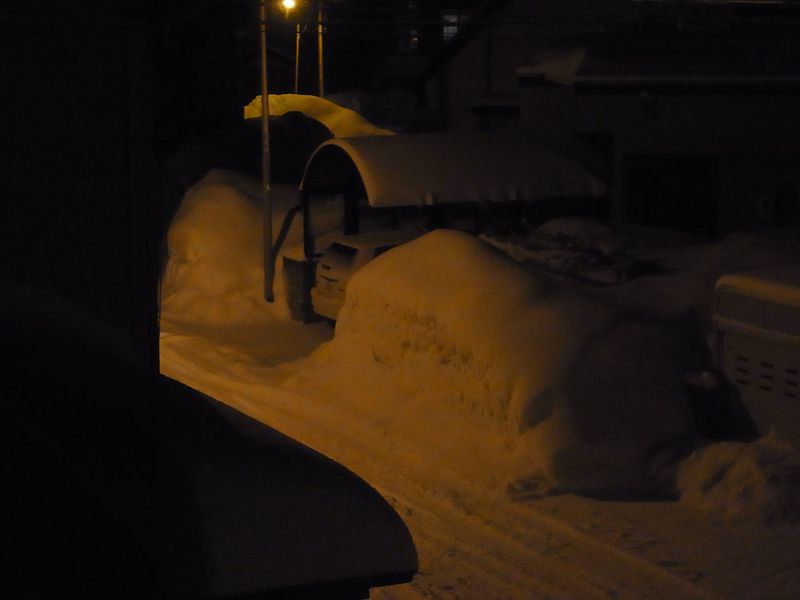 大雪警報_c0025115_22372847.jpg