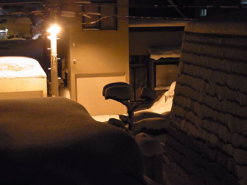 大雪警報_c0025115_22383927.jpg