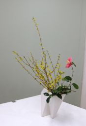春のはじまりを告げる花_c0165824_2221536.jpg