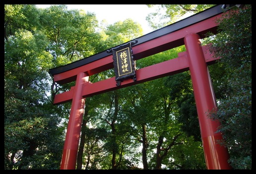 東京の森　根津神社_d0185744_859537.jpg