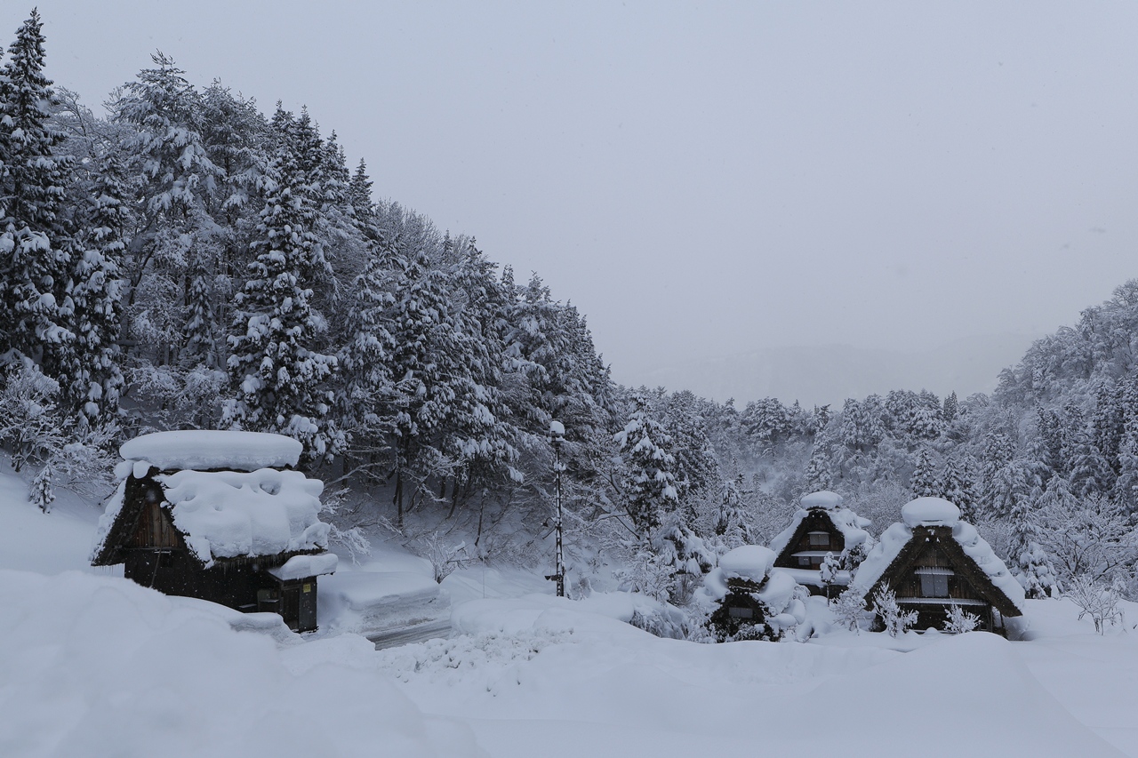 屋根雪を求めて　白川郷_c0114153_23135342.jpg