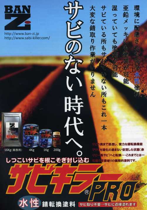 サビキラーPRO_c0233456_11543520.jpg