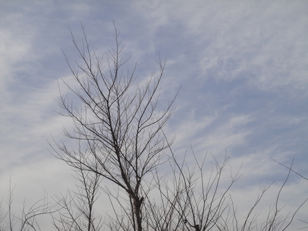 c0108460_20511489.jpg