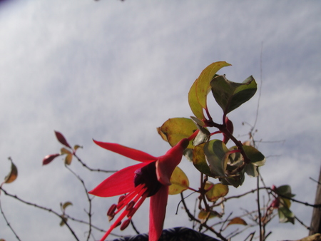 c0108460_20523887.jpg