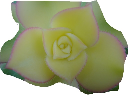 c0108460_205330100.jpg
