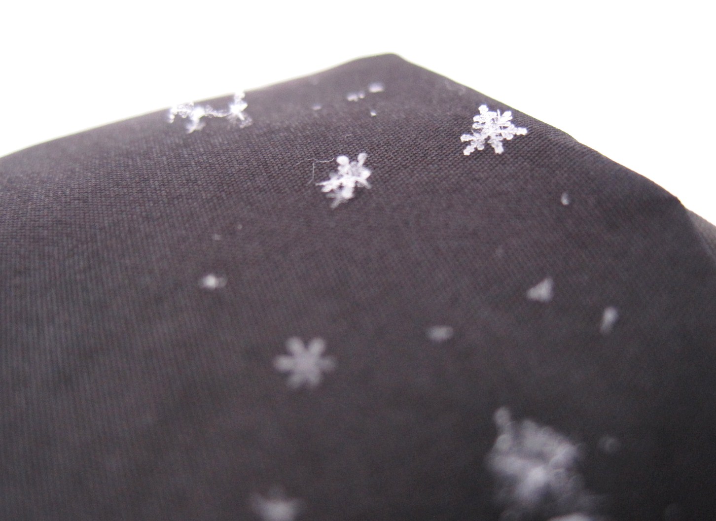 *雪の結晶*_f0236260_10695.jpg