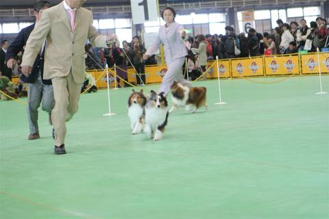 FCI神奈川インター_f0126965_14373375.jpg