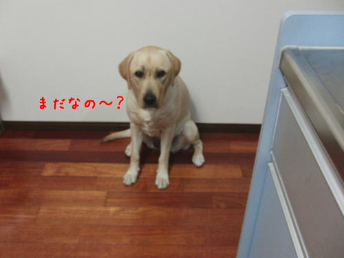 f0189870_1446683.jpg