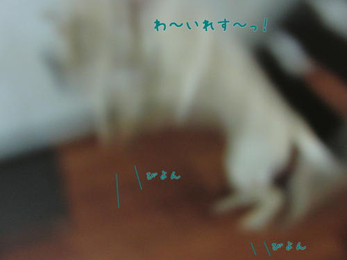 f0189870_14584013.jpg