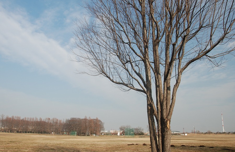 春遠し_c0187781_1656628.jpg