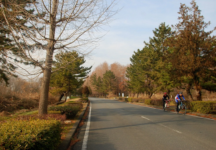 春遠し_c0187781_16573927.jpg