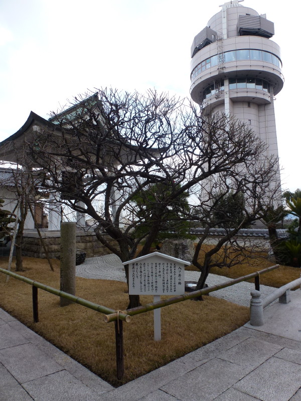 明石の偉人 橋本海関先生の墓と海関先生揮毫の石碑_b0118987_1725682.jpg