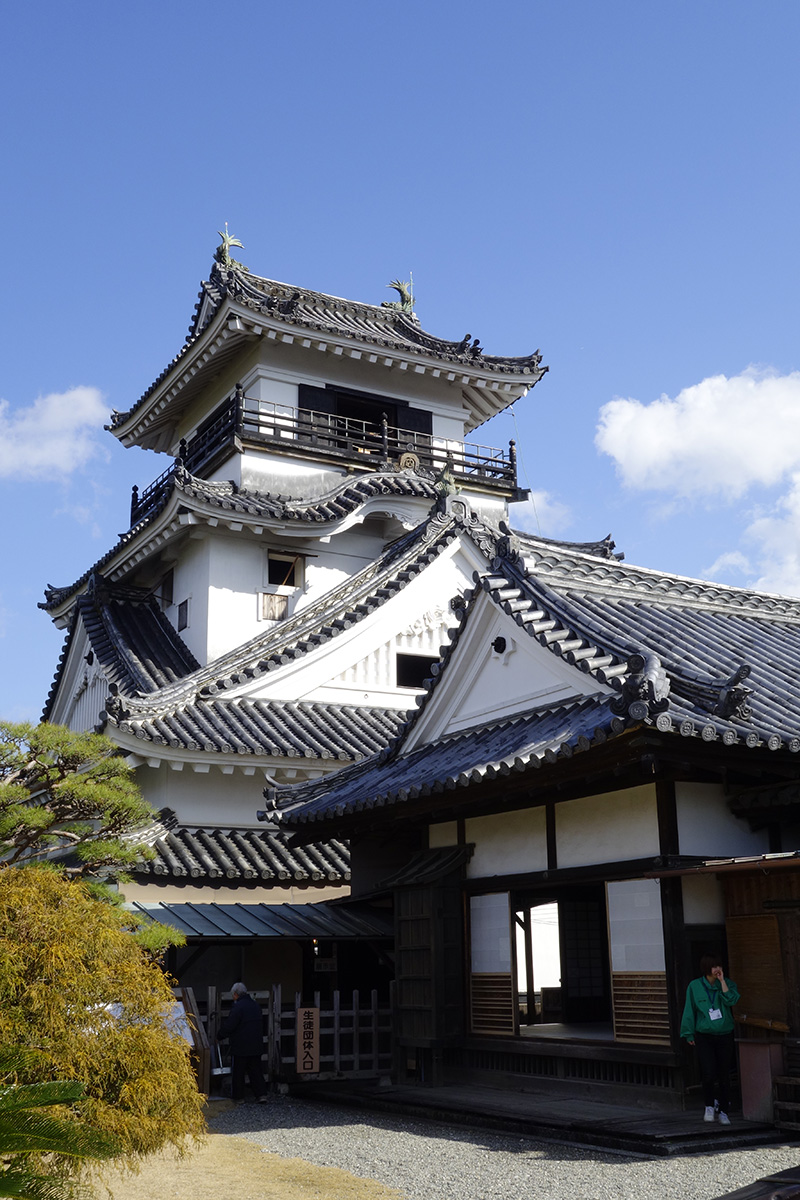 sony rx 100を持って高知城に行ったが花粉症で速攻退散編 台湾破れかぶれ日記 sony rx 100を持って高知城に行ったが花粉症で速攻退散編 台湾破れかぶれ日記