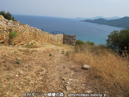 c0010496_21454276.jpg