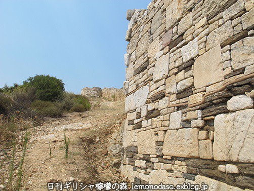 c0010496_2147921.jpg