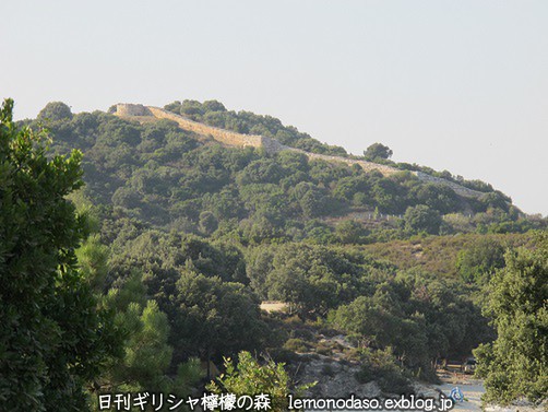 c0010496_21484160.jpg