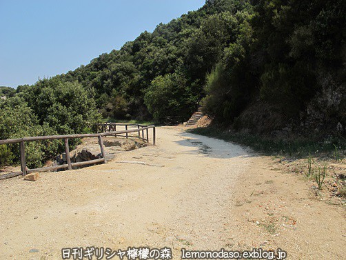 c0010496_21491364.jpg