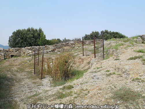 c0010496_4485217.jpg