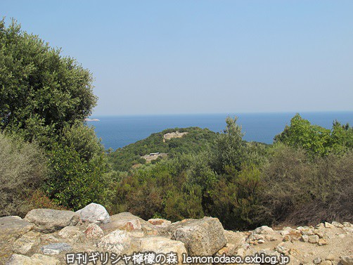 c0010496_453477.jpg