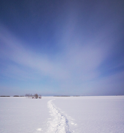 雪国暮らしの道具２〜修理する喜び_f0225998_19203836.jpg