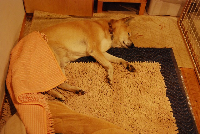 c0124100_17244163.jpg