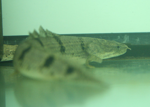 c0165800_2122415.jpg