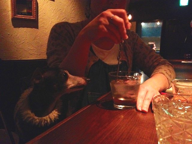 a0050302_3245591.jpg