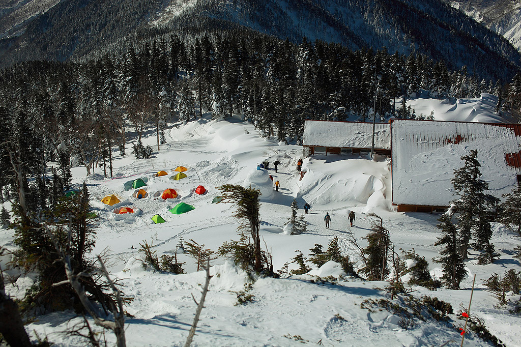 a0148606_0261776.jpg