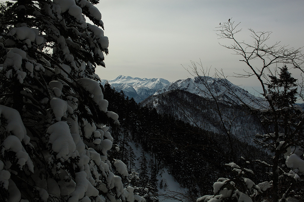 a0148606_027329.jpg
