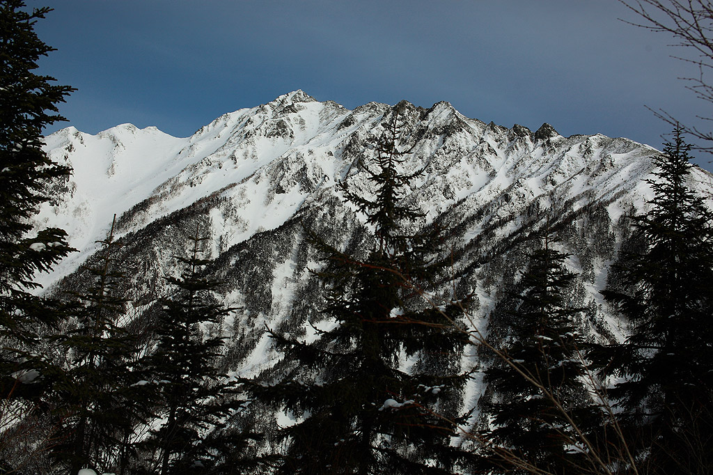 a0148606_028762.jpg