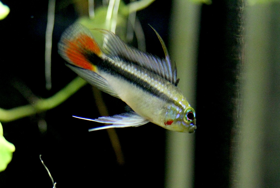 a0241913_24764.jpg