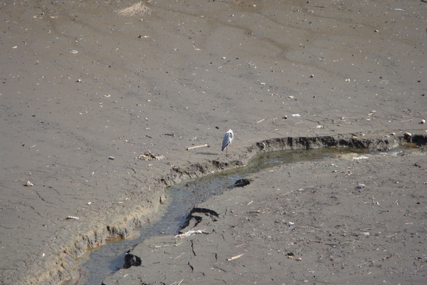 d0132214_7324424.jpg