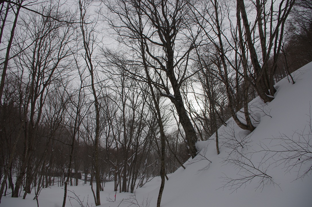 b0062024_15192141.jpg