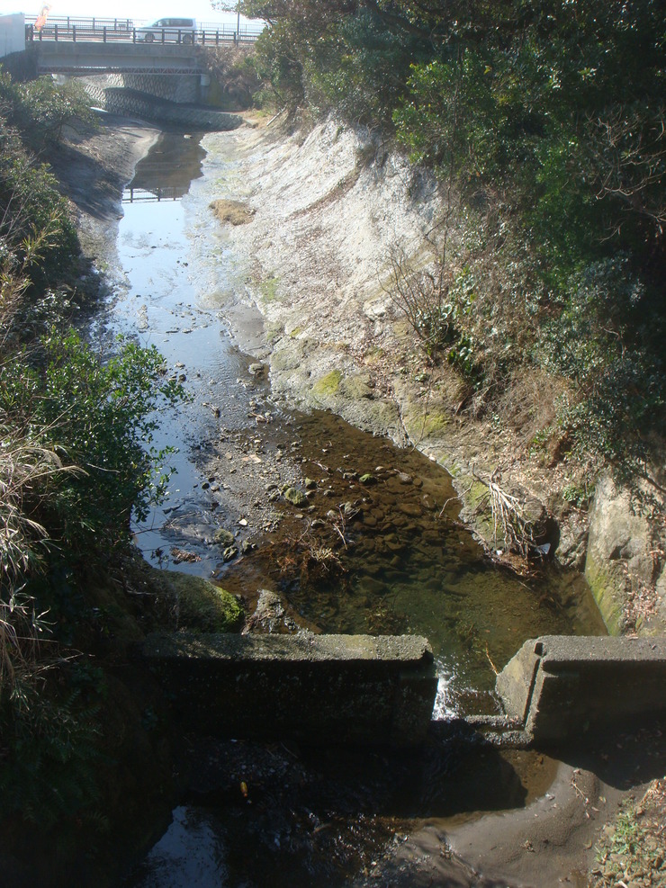 f0109825_10564846.jpg