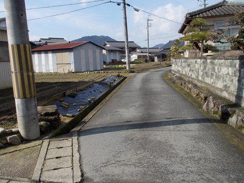 f0111128_9504651.jpg