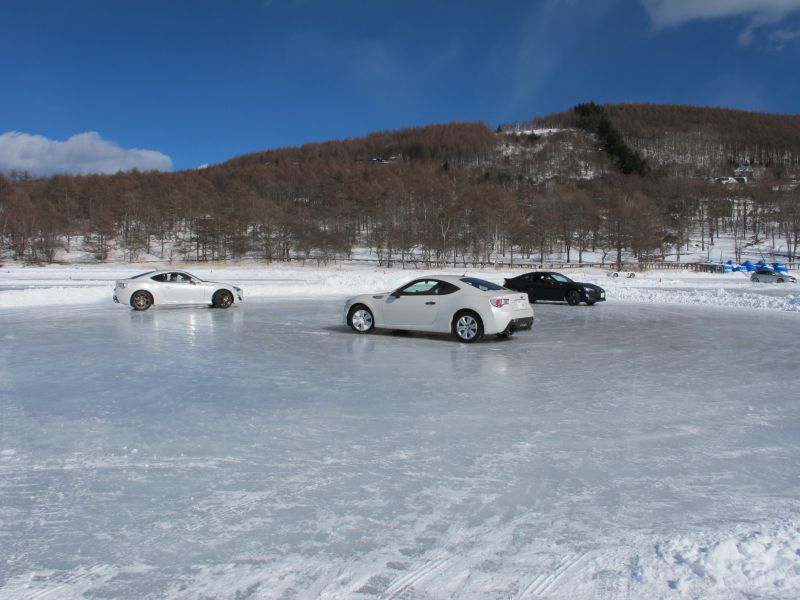 BRZでアイスダンス_f0076731_19235469.jpg