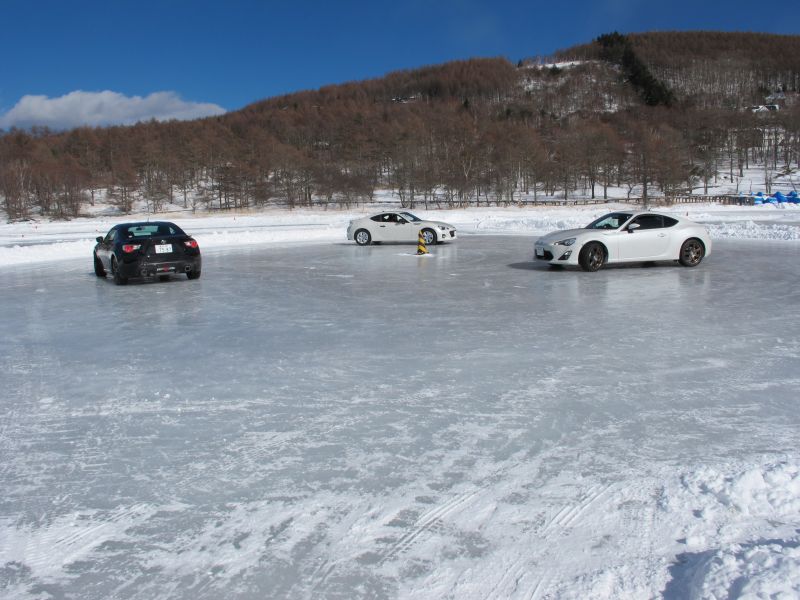 BRZでアイスダンス_f0076731_1945319.jpg