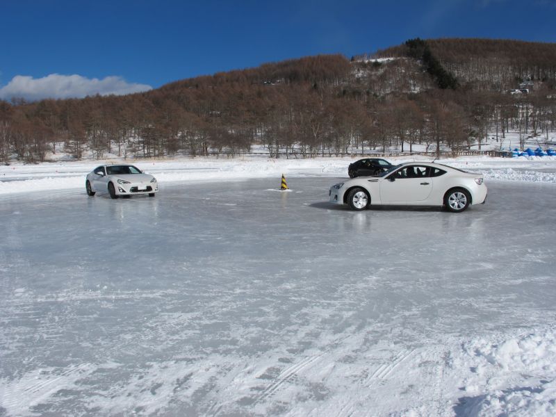 BRZでアイスダンス_f0076731_19461556.jpg