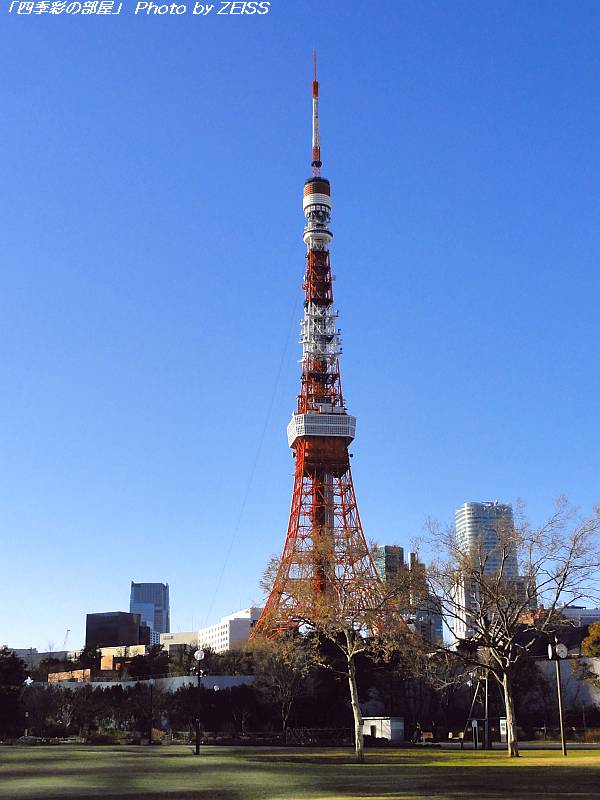 a0195032_215507.jpg