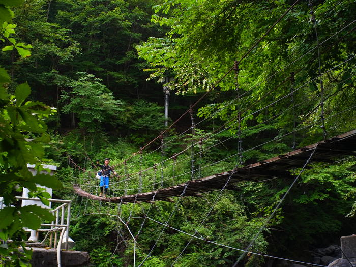 白峰三山(過去ハイク)_f0251840_10365469.jpg