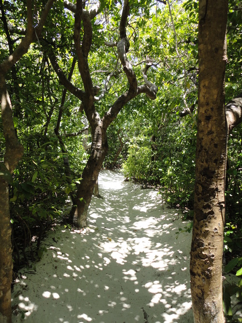 c0214842_45506.jpg