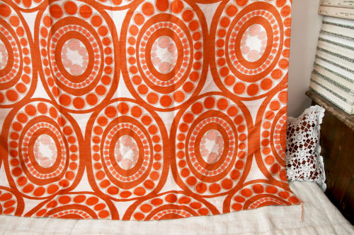 ：：： 　Orange Collection　：：：_b0142544_15494715.jpg